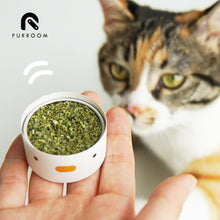 Load image into Gallery viewer, PURROOM Catnip
