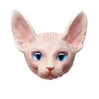 Load image into Gallery viewer, IATOYS Art Cat Map Designer Refrigerator Magnets Blind Box
