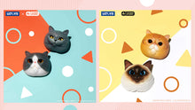 Load image into Gallery viewer, IATOYS Art Cat Map Designer Refrigerator Magnets Blind Box
