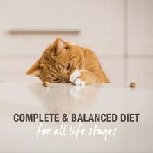Load image into Gallery viewer, FELINE NATURAL Beef &amp; Hoki Feast Raw Freeze Dried for Cats - 100g/320g
