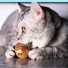 Load image into Gallery viewer, GIGWI G-Box Cat Toy Set Blind Box
