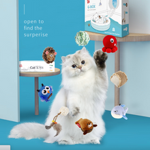 Load image into Gallery viewer, GIGWI G-Box Cat Toy Set Blind Box
