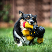 Load image into Gallery viewer, GIGWI Gladiator Squeaky Dog Toy
