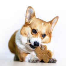 Load image into Gallery viewer, GIGWI Gum Gum Dog Chewing Toy
