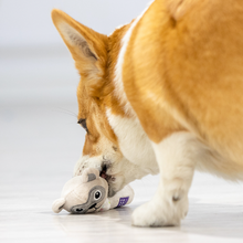 Load image into Gallery viewer, GIGWI Suppa Puppa Q Dog Squeaker Toy
