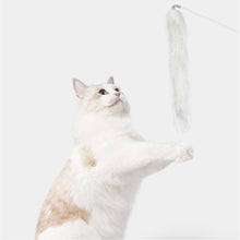 Load image into Gallery viewer, VETRESKA Rechargeable Laser Cat Teaser

