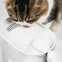 Load image into Gallery viewer, PIDAN Water Fountain with Water Temperature Control
